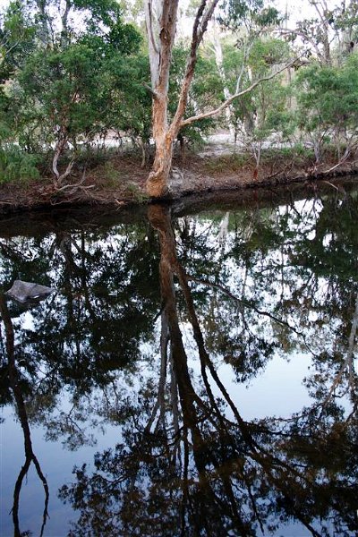 2786 Cape York 550D Aug11 (Medium).jpg